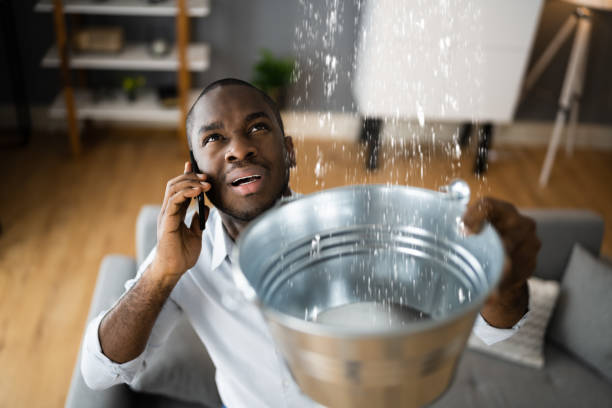 Best Emergency water extraction  in Hudson, IL