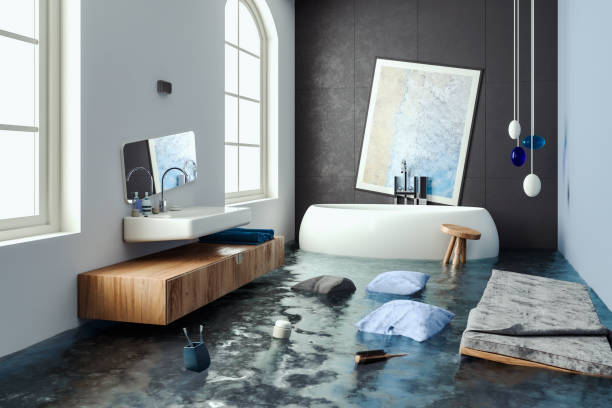 Best Residential water damage restoration  in Hudson, IL