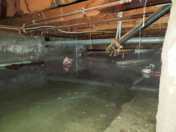 Best Flood restoration services  in Hudson, IL