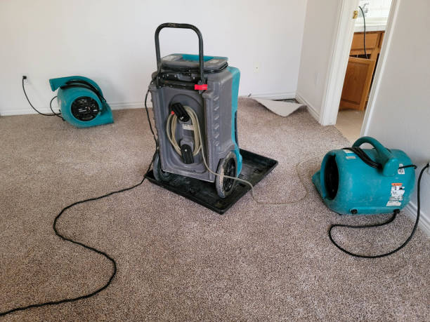 Best Mold removal after water damage  in Hudson, IL
