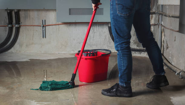 Best Water damage restoration company  in Hudson, IL