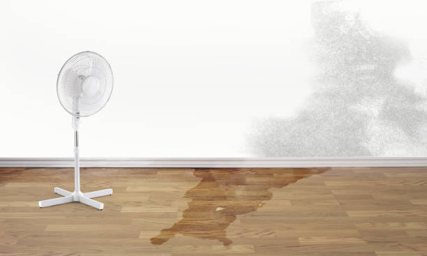  Hudson, IL Water damage restoration Pros