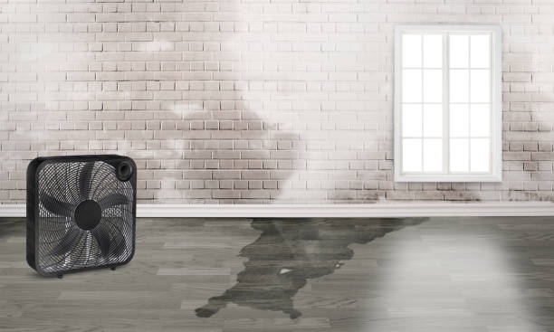 Best 24/7 water damage repair  in Hudson, IL