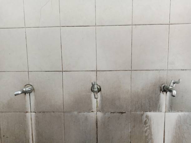 Best Ceiling water damage repair  in Hudson, IL