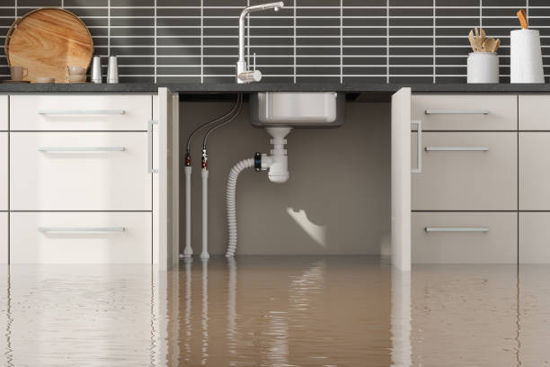 Best Water damage cleanup near me  in Hudson, IL