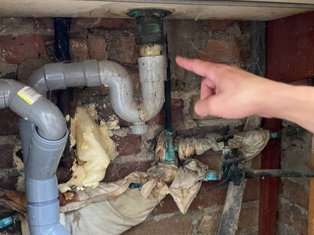 Best Local water damage restoration  in Hudson, IL